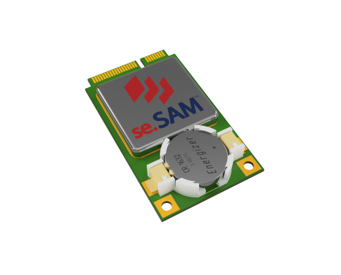 seSAM-P220